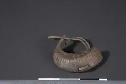 Horn amulet