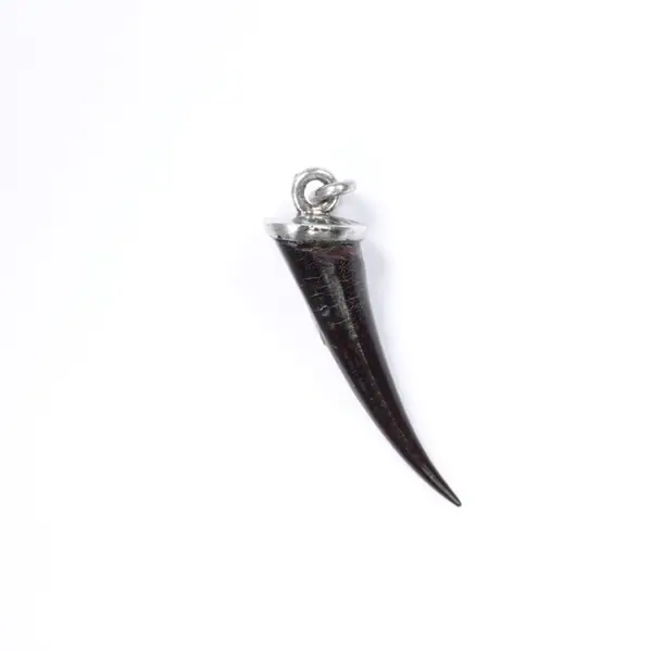 Thorn amulet set in a silver mount, Naples (Italy), 1890-1910