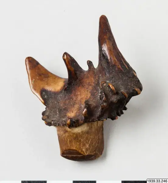 Amulett av missbildat horn