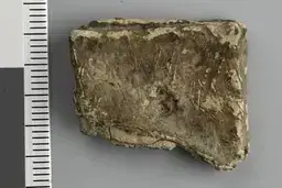 Amulet