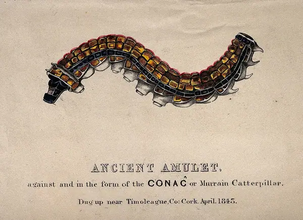 An amulet in the form of the Conaĉ or Murrain caterpill