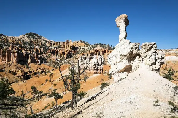 Bryce Canyon (15201845738)