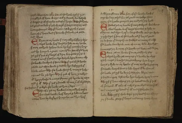 Leech-Books, VI (MS 409) page 129