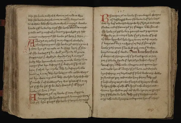 Leech-Books, VI (MS 409) page 116