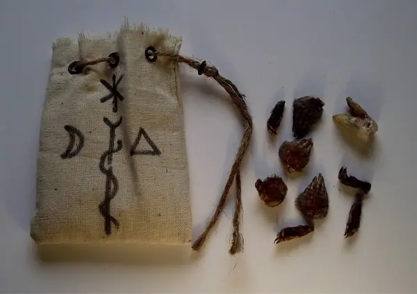 Moles Feet Charms for toothache