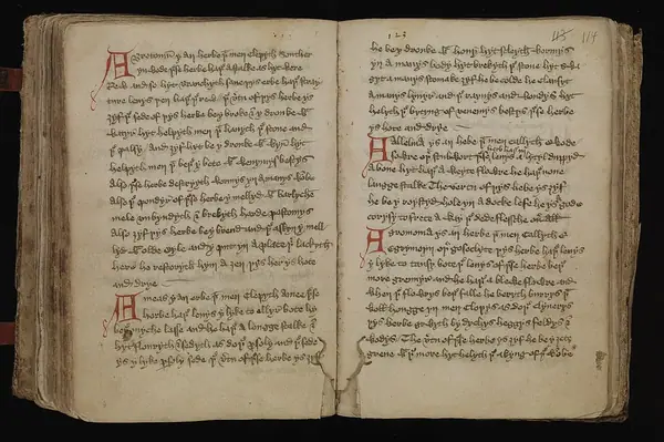 Leech-Books, VI (MS 409) page 114