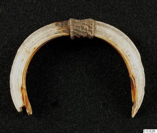 Amulet from Democratic Republic of the Congo