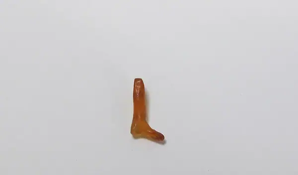Amulet; Leg