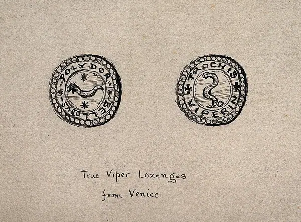 Two coin-like amulets used to ward off vipers and the effect