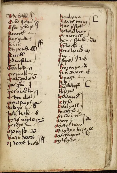 Page of Gothic text from a 15th century Leech-Book