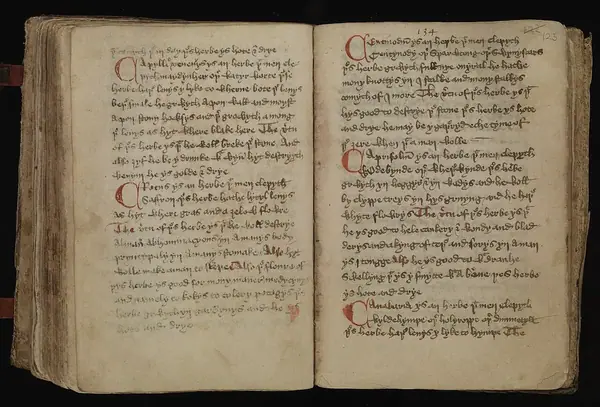 Leech-Books, VI (MS 409) page 123