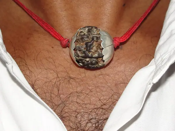 A aesthetic Rudrakṣa nut