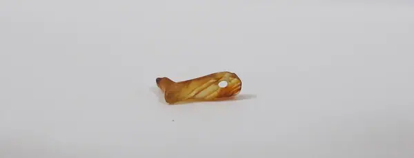 Amulet; Leg