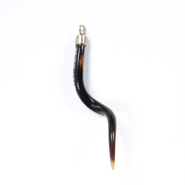 Pendant amulet made from a curled spike of horn or tortoiseshell in a brass mount, Italy, 1800-1899
