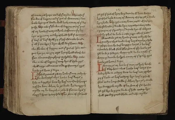Leech-Books, VI (MS 409) page 142