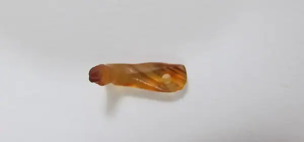 Amulet; Leg