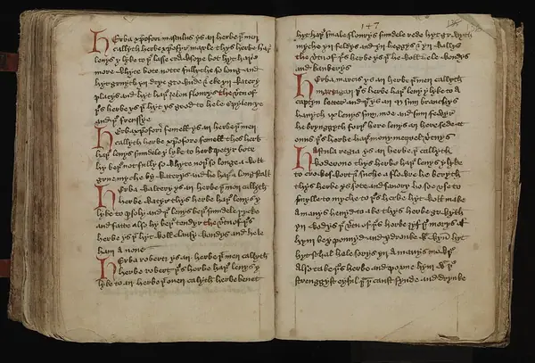 Leech-Books, VI (MS 409) page 136