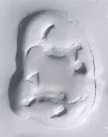 Drilled recumbent fox amulet seal