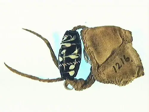 Amulet from Sweden