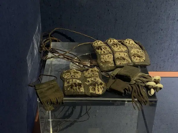 Showcase Nubian objects