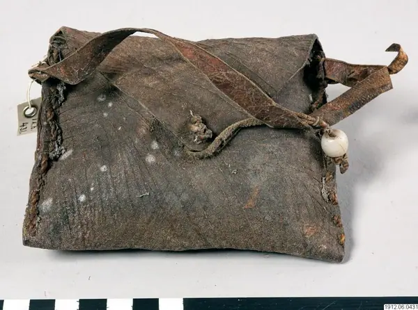 beetle, bag, amulet, amulet, bag, amulet bag