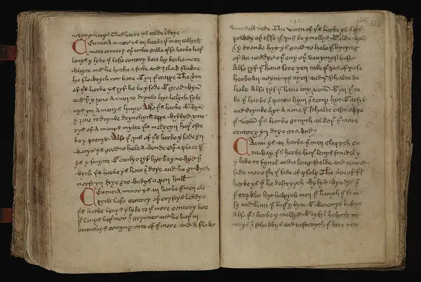 Leech-Books, VI (MS 409) page 121