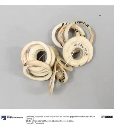 Ringe vom Schneckengehäuse als Amulette gegen Krankheiten