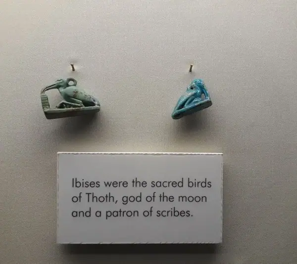 Amulets of Ibises, Birmingham Museum and Art Gallery