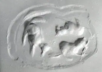 Drilled recumbent fox amulet seal