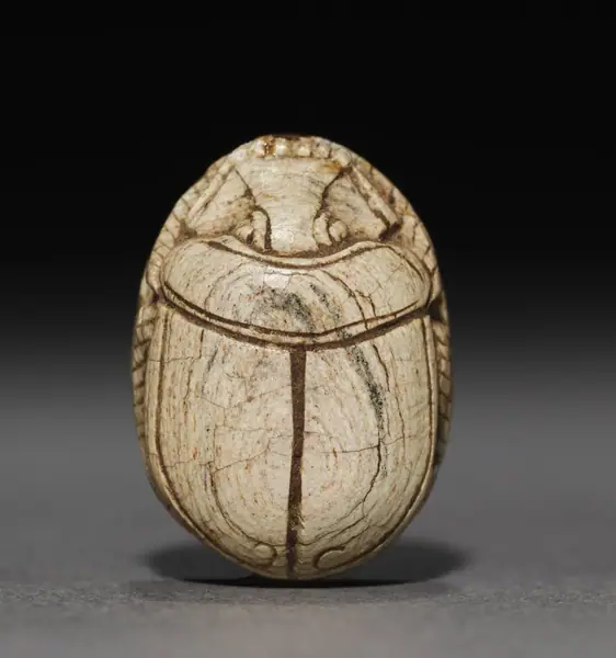 Scarab