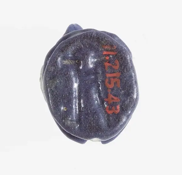 Frog Seal Amulet with a Sa Hieroglyph on the
