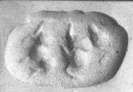 Drilled recumbent bovid amulet seal