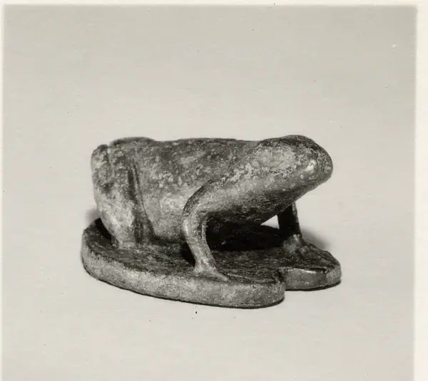 Frog on a lotus pad, perhaps a weight