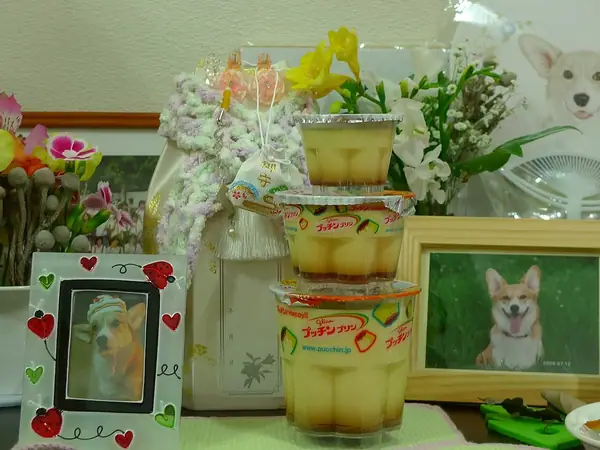 プッチンプリン、3段重ね (3190044077)