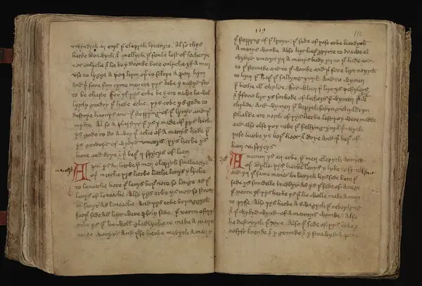 Leech-Books, VI (MS 409) page 110