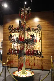 Chinese Money Tree (15874872067)
