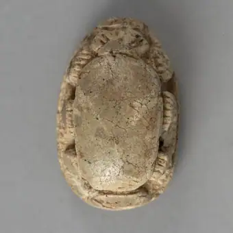 Amuletă sigiliu având partea superioară sculptată în forma unui scarabeu. Baza este decorată prin gravare cu două șiruri de volute dispuse vertical. Pe margine chenar liniar. Din zona gurii scarabeulu