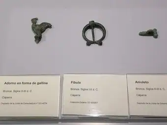 20220222 195403 Museo Cáceres
