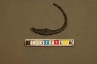 iron amulet ring